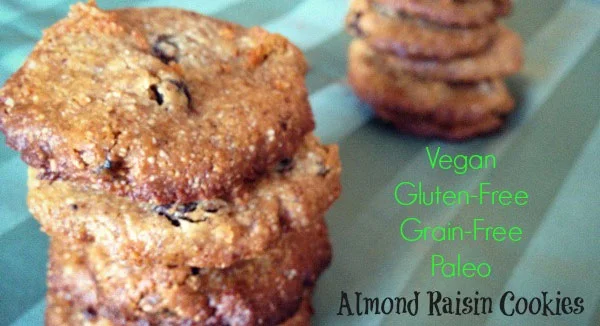 Almond Flour Raisin Cookies